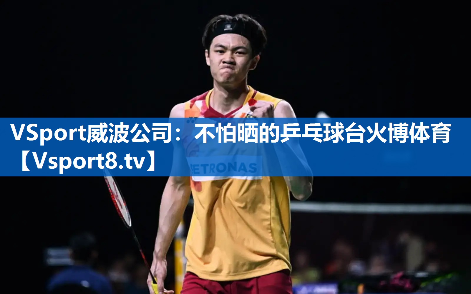 <strong>VSport威波公司：不怕晒的乒乓球台火博体育</strong>
