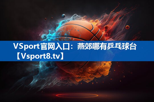 VSport官网入口：燕郊哪有乒乓球台