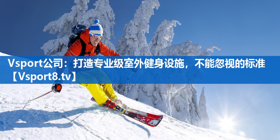 Vsport公司：打造专业级室外健身设施，不能忽视的标准