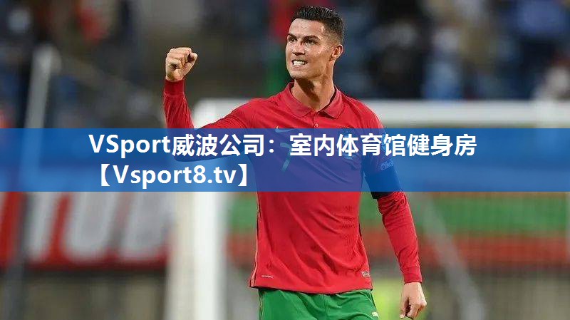 VSport威波公司：室内体育馆健身房