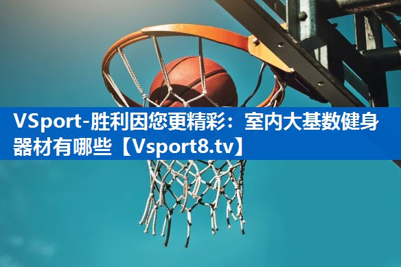 VSport-胜利因您更精彩：室内大基数健身器材有哪些