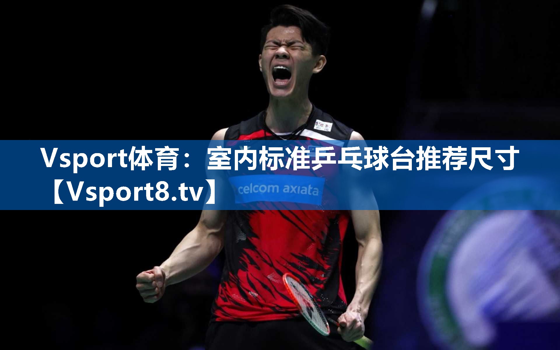 Vsport体育：室内标准乒乓球台推荐尺寸
