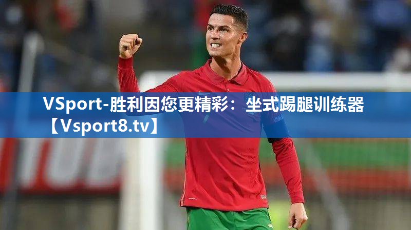 VSport-胜利因您更精彩：坐式踢腿训练器