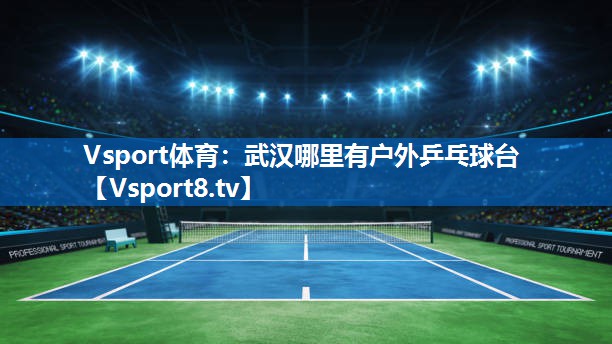 Vsport体育：武汉哪里有户外乒乓球台