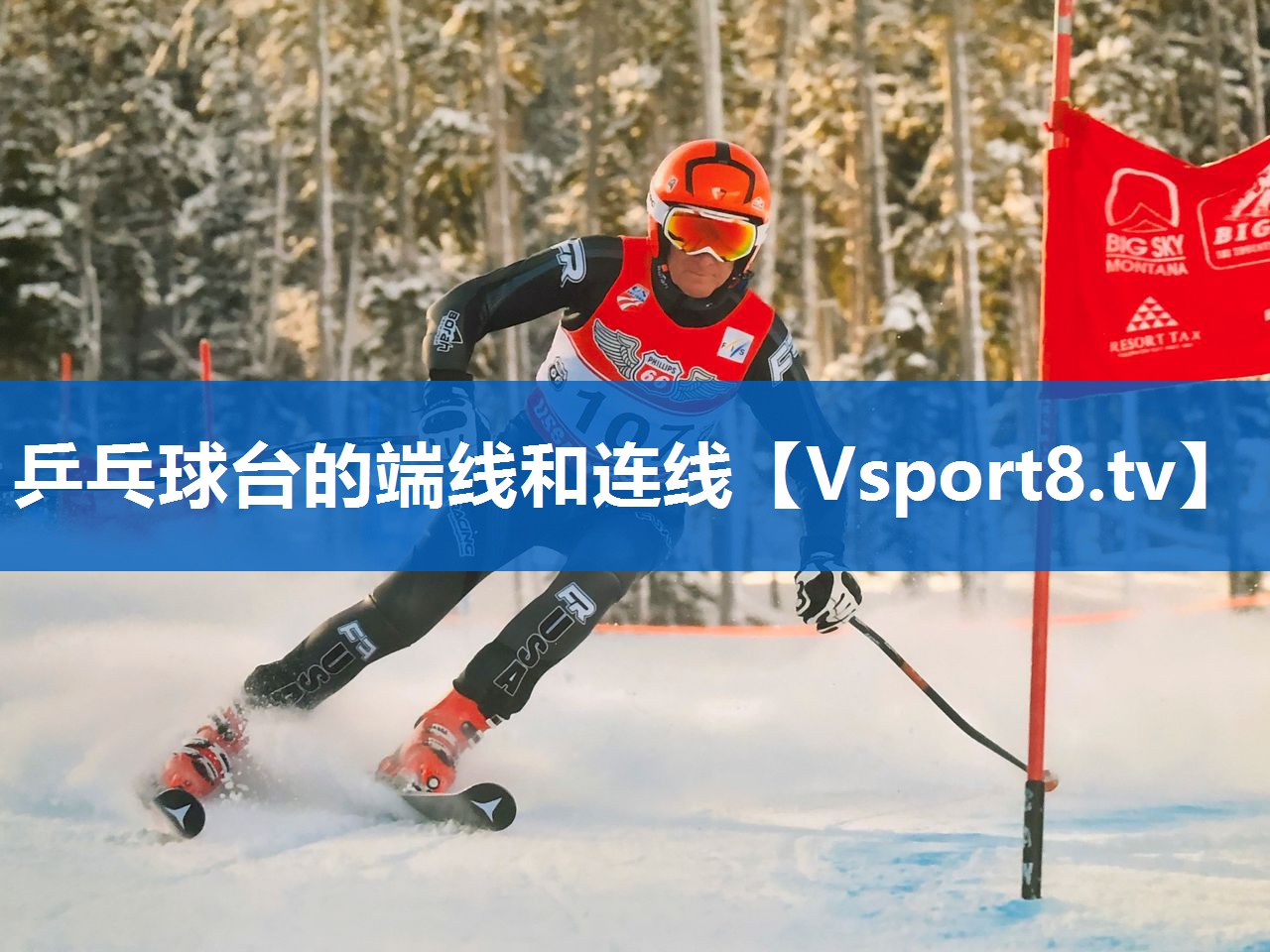 乒乓球台的端线和连线