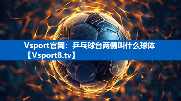 乒乓球台两侧叫什么球体