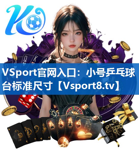 小号乒乓球台标准尺寸
