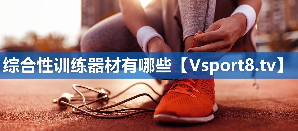 综合性训练器材有哪些