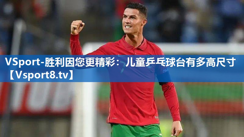 儿童乒乓球台有多高尺寸