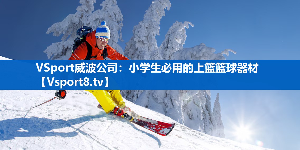 小学生必用的上篮篮球器材