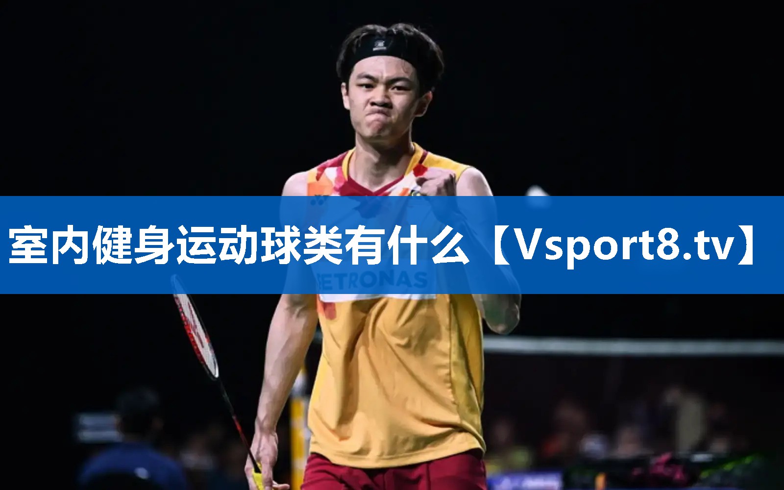 室内健身运动球类有什么