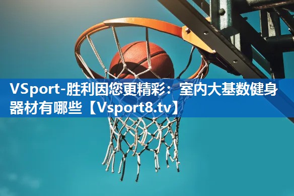 室内大基数健身器材有哪些