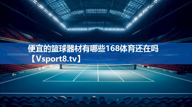 便宜的篮球器材有哪些168体育还在吗
