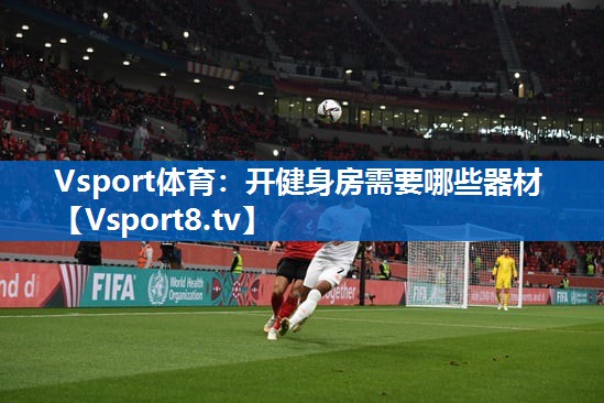 Vsport体育：开健身房需要哪些器材