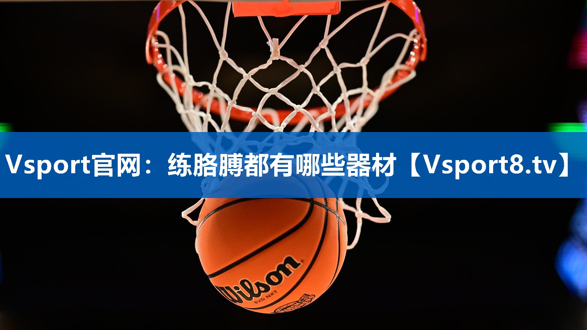 Vsport官网：练胳膊都有哪些器材